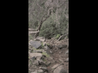 CATEMU TOUR NACIONAL 2024 RIDER 102 AGUSTIN MARIN