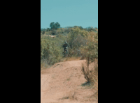 BeerFest Las Palmas 2024 - Rider 102 Moroni Schumacher