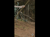CURICO WINTER SERIES 2023 RIDER 104 Martin Toledo