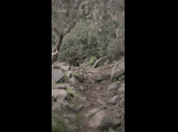 CATEMU TOUR NACIONAL 2024 RIDER 104 AMARO HUERTA