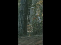 PANAMERICANO 2025 CHILE - RIDER 107 Fernanda Quiroga