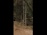 CURICO WINTER SERIES 2023 RIDER 107 Agustin Torres