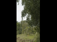 DEACHE SERIES PUCHUNCAVI 2024 RIDER 109 Sebastian Ortubia