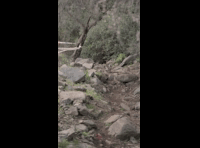 CATEMU TOUR NACIONAL 2024 RIDER 112 MARTIN VASQUEZ