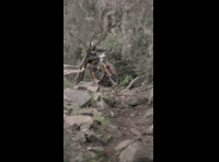 CATEMU TOUR NACIONAL 2024 RIDER 121 NICOLAS PRUDENCIO