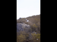 PACK VIDEO ENDURO SERIES PICHIDANGUI 3A FECHA EBIKE RIDER 127 Ernesto Panatt