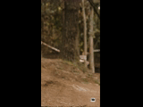 CURICO WINTER SERIES 2023 RIDER 133 Bastian Valdivia