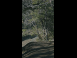 Campeon del Bike Park 2024 - Rider 142 MARTIN MUÑOZ