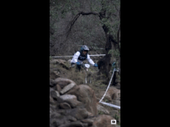 PACK DEACHE SERIES CATEMU 2023 Rider 149 Daniel Diaz