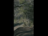 Campeon del Bike Park 2024 - Rider 154 GABRIEL CASAUBON
