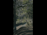 Campeon del Bike Park 2024 - Rider 155 DIEGO CALABRANO