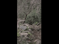 CATEMU TOUR NACIONAL 2024 RIDER 155 PAMELA CABELLO