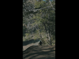 Campeon del Bike Park 2024 - Rider 156 LEON BOLTAÑA