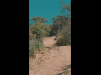 BeerFest Las Palmas 2024 - Rider 156 Juan Carlos Manzo