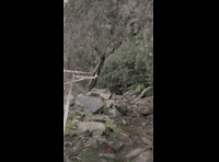 CATEMU TOUR NACIONAL 2024 RIDER 157 PAULINA VILLAR
