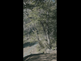 Campeon del Bike Park 2024 - Rider 158 GASPAR AGURTO