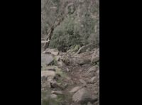 CATEMU TOUR NACIONAL 2024 RIDER 160 KALAJAN BARAHONA