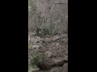 CATEMU TOUR NACIONAL 2024 RIDER 161 JOSE ERNESTO VERGARA