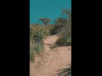 BeerFest Las Palmas 2024 - Rider 161 Marcos Oviedo