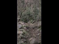 CATEMU TOUR NACIONAL 2024 RIDER 162 NICOLAS ESPINOZA