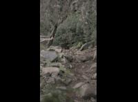 CATEMU TOUR NACIONAL 2024 RIDER 164 HANS GUTIERREZ