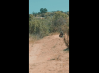 BeerFest Las Palmas 2024 - Rider 169 Mauricio Zamorano