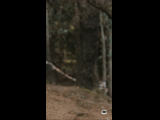 CURICO WINTER SERIES 2023 RIDER 17 Fernando Santelices