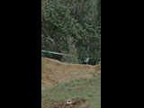 DEACHE SERIES PUCHUNCAVI RIDER 181 MATIAS ARELLANO