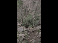 CATEMU TOUR NACIONAL 2024 RIDER 186 JUAN PABLO PACHECO