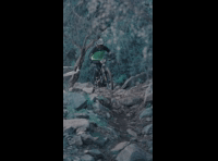 CATEMU TOUR NACIONAL 2024 RIDER 190 SEBASTIAN AHUMADA