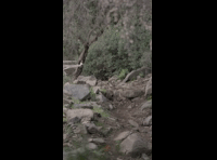 CATEMU TOUR NACIONAL 2024 RIDER 190 SEBASTIAN AHUMADA