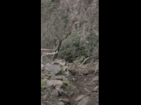 CATEMU TOUR NACIONAL 2024 RIDER 193 BENJAMIN ALDUNATE