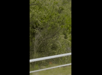 DEACHE SERIES PUCHUNCAVI 2024 RIDER 200 Gabriel Fuentes