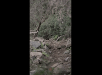 CATEMU TOUR NACIONAL 2024 RIDER 200 DIEGO MUÑOZ