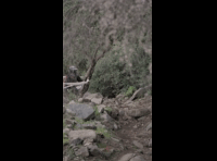CATEMU TOUR NACIONAL 2024 RIDER 208 ANDRES VEJAR
