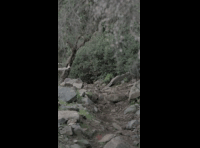 CATEMU TOUR NACIONAL 2024 RIDER 20 JOSE VEGA