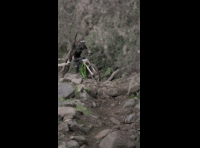 CATEMU TOUR NACIONAL 2024 RIDER 210 LENNY LAZCANO