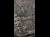 CATEMU TOUR NACIONAL 2024 RIDER 214 BENJAMIN GARRIDO