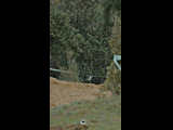 DEACHE SERIES PUCHUNCAVI RIDER 218 TOMAS GULDMAN