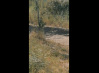 BeerFest Las Palmas 2024 - Rider 219 Felipe Ponce