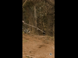 CURICO WINTER SERIES 2023 RIDER 21 Felipe Castro