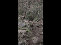 CATEMU TOUR NACIONAL 2024 RIDER 221 ALVARO LOPEZ