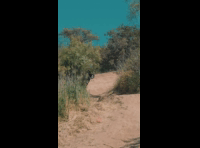 BeerFest Las Palmas 2024 - Rider 222 Gabriel Villela