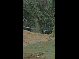 DEACHE SERIES PUCHUNCAVI RIDER 223 CRISTOBAL RAMIREZ