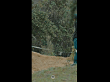 DEACHE SERIES PUCHUNCAVI RIDER 225 JORGE MONZON