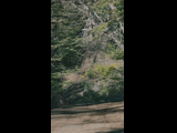 Campeon del Bike Park 2024 - Rider 22 FLORENCIA ESPINEIRA