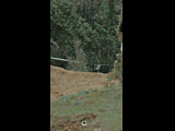 DEACHE SERIES PUCHUNCAVI RIDER 232 ROCIO CACERES