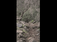 CATEMU TOUR NACIONAL 2024 RIDER 233 IAN STENGEL