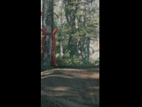 Campeon del Bike Park 2024 - Rider 23 VALENTINA BENAVIDES