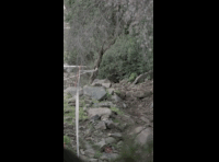CATEMU TOUR NACIONAL 2024 RIDER 23 JOAQUIN TORO